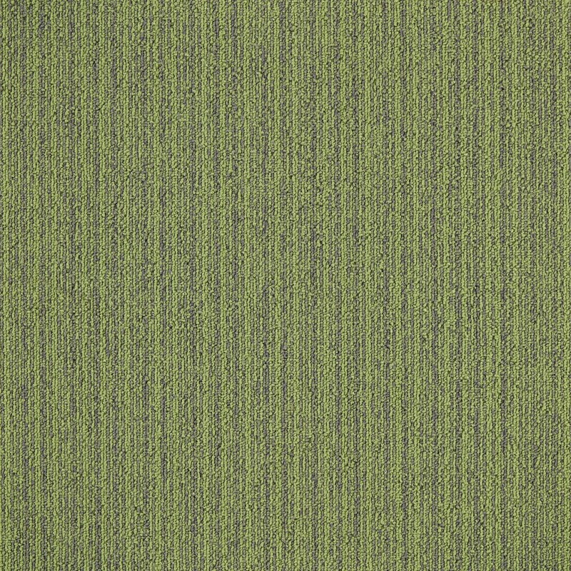 522ddb537c98bc2702f77a7f427c348b.jpg