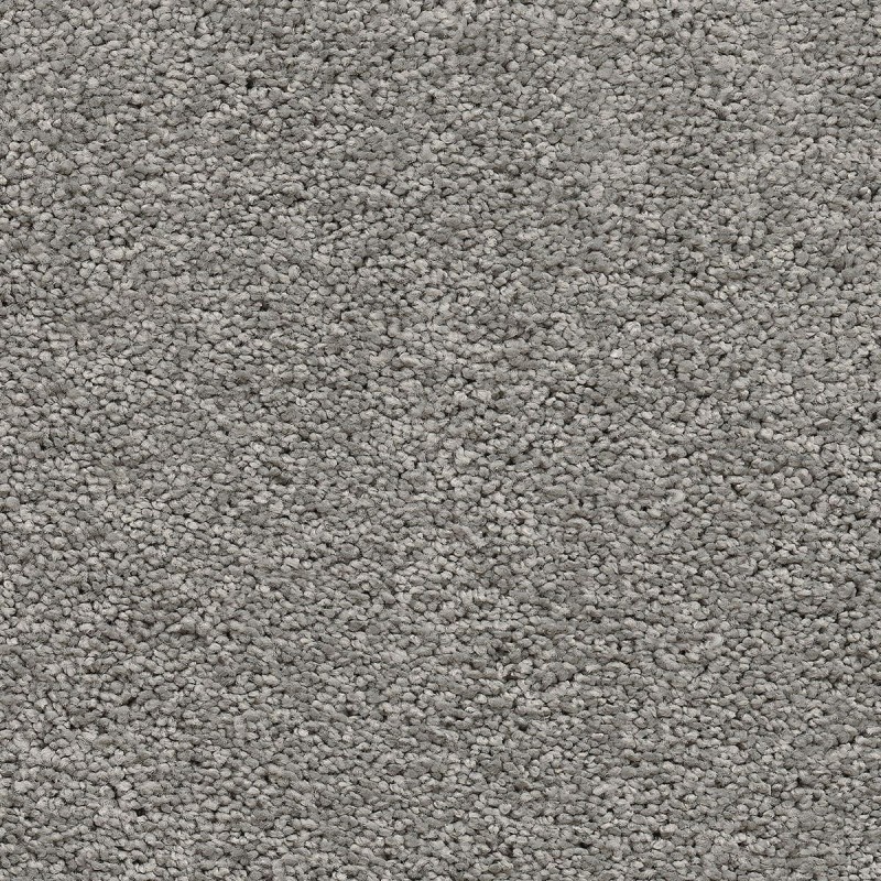 Vigour2094.jpg