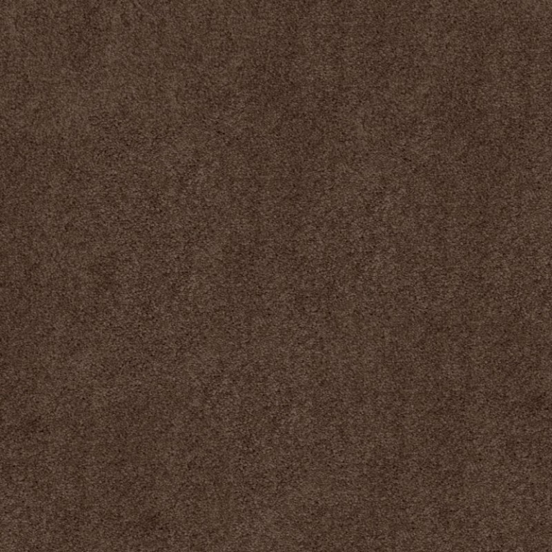 a375532e92d9a16b6adfc0287380a7dc.jpg
