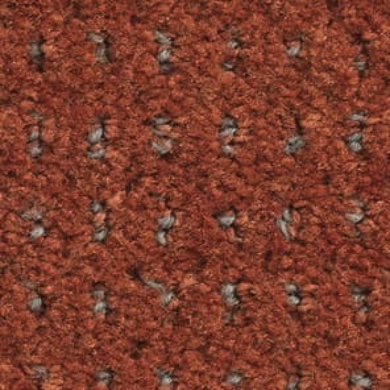 b464.jpg