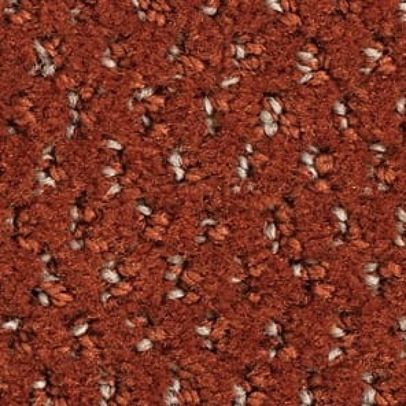 f470.jpg