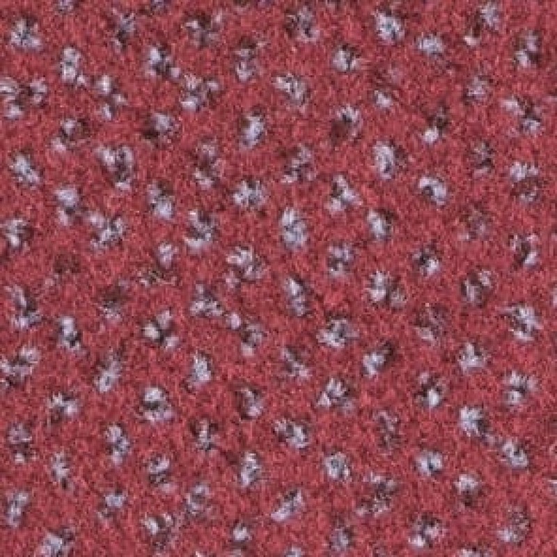 s590.jpg